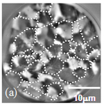 NiZnフェライトにおける微細構造が磁化過程に及ぼす影響について