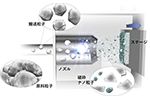 ナノパーティクルデポジションを用いた人工光合成用アノード電極