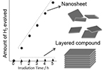半導体ナノシートの特徴を活かした水分解光触媒の研究
