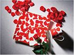 株式会社ノリタケカンパニーリミテド ─Se-Cdフリー無鉛赤色絵具　食器業界最高レベルの鮮やかさへの挑戦─