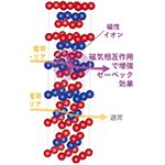 高性能熱電材料・デバイスの開発