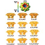 配位形態の配列制御により発現する分子認識─金属酸化物クラスターによる理解─