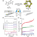 多孔性配位高分子を用いた超マグネシウムイオン伝導体の創出