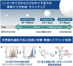 株式会社アドマテックス─異端者たちの挑戦─