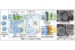 化学的手法を用いた酸化物材料の低温結晶化・構造制御・バルク体化プロセス