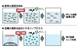 金属の湿食を起点とするセラミックスナノ粒子のサステナブルソノプロセス