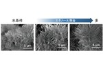 溶液プロセスによるリン酸カルシウムの結晶相と形態の制御