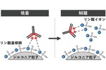 ジルコニア粒子を用いたタンパク質医薬「抗体」の精製技術